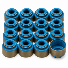 GSC B/H/K Series Viton 5.5mm Valve Seals: Set of 16